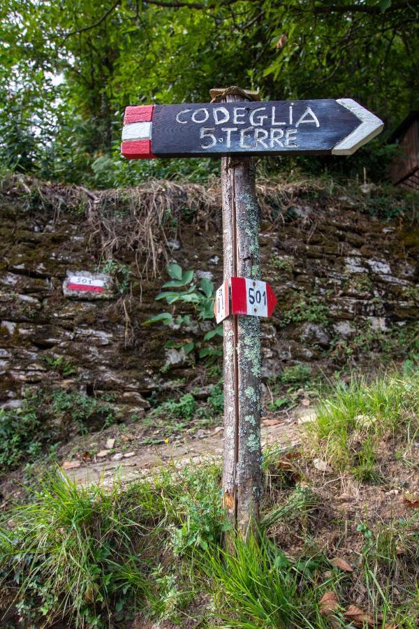 Near - Cinque Terre Holiday Apartment リッコ・デル・ゴルフォ・ディ・スペーツィア エクステリア 写真